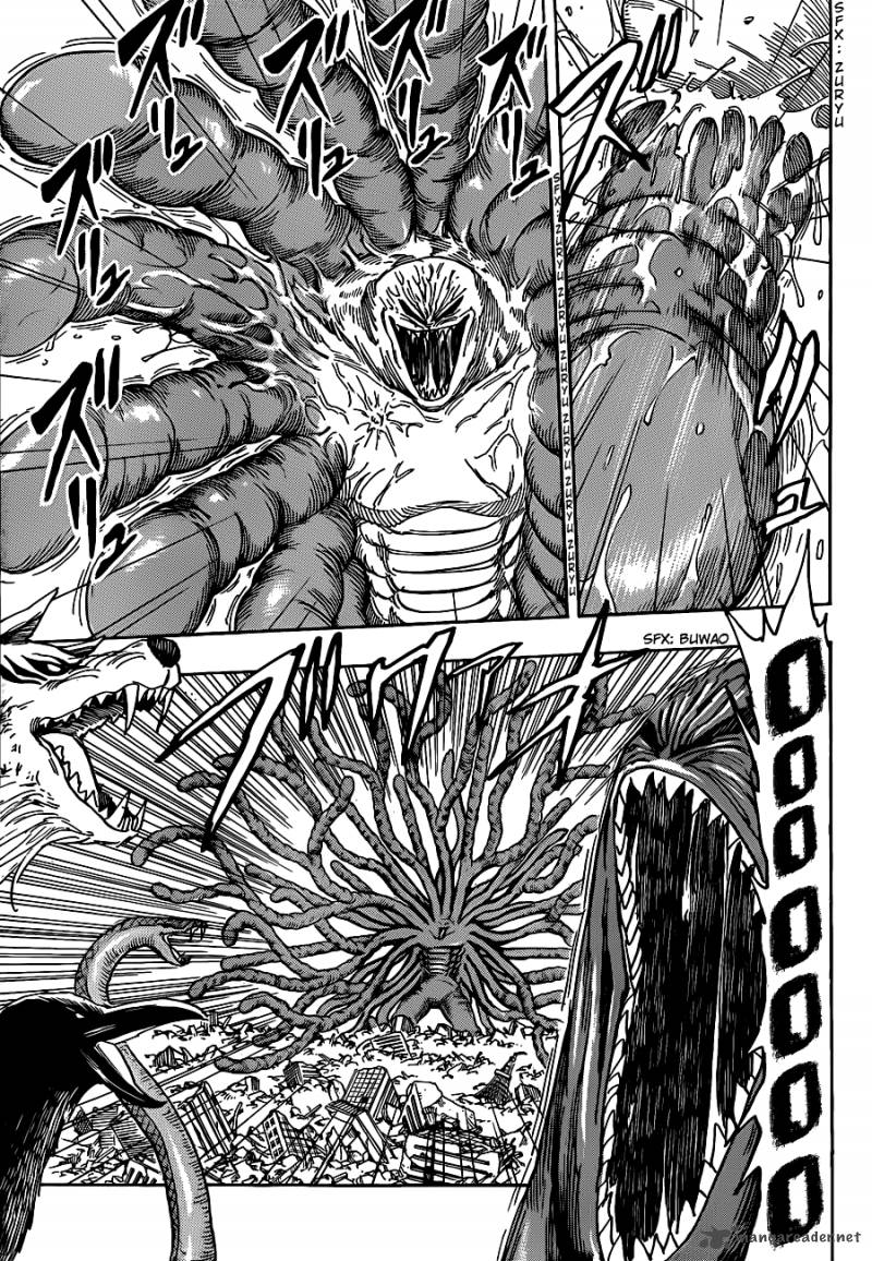 Toriko 206 9