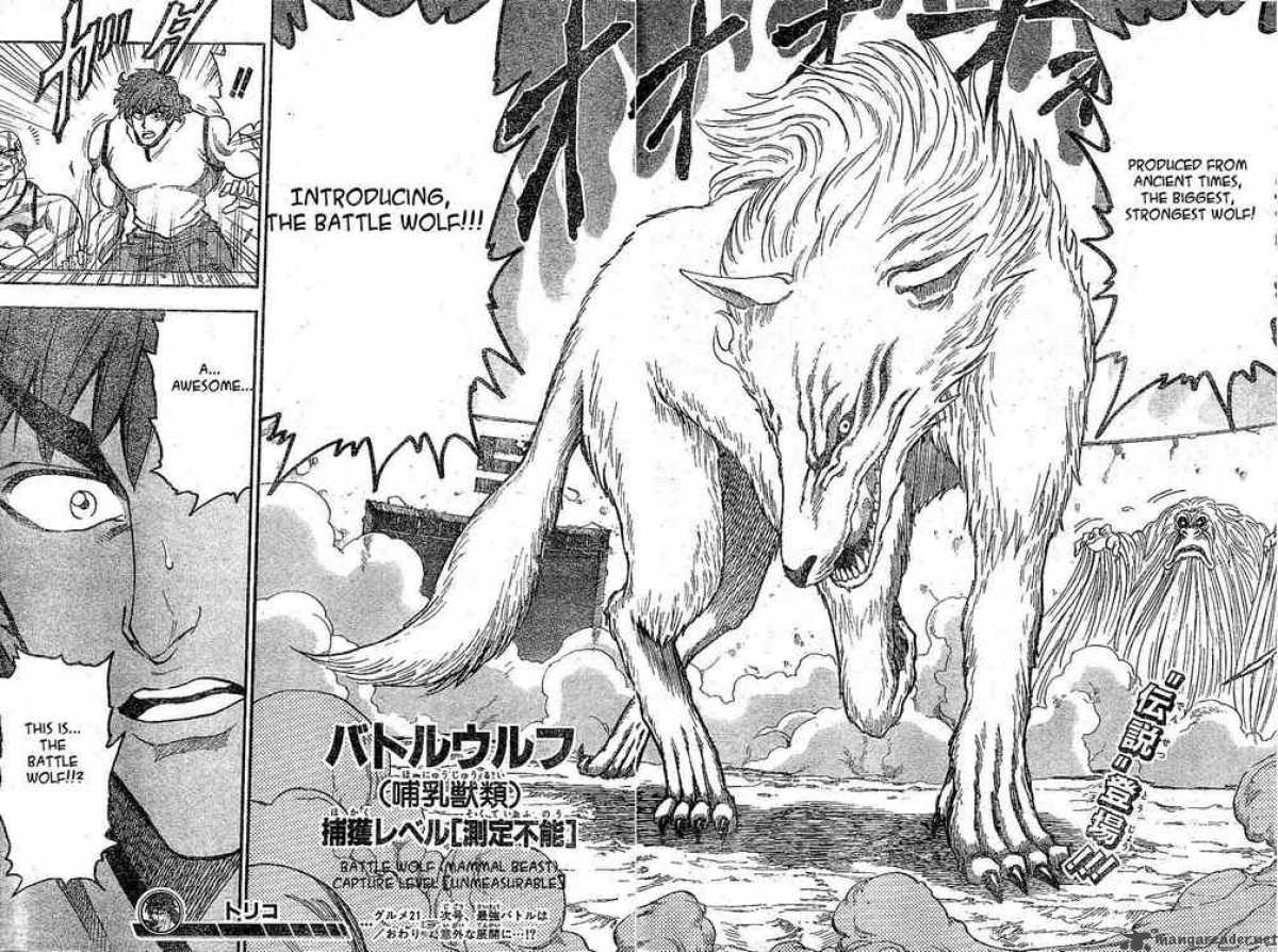 Toriko 21 17