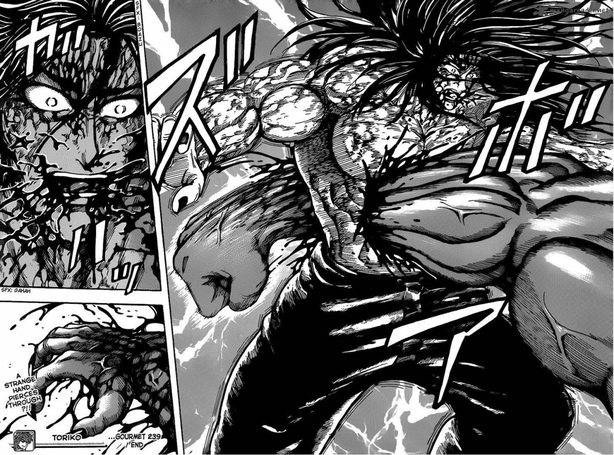 Toriko 239 18