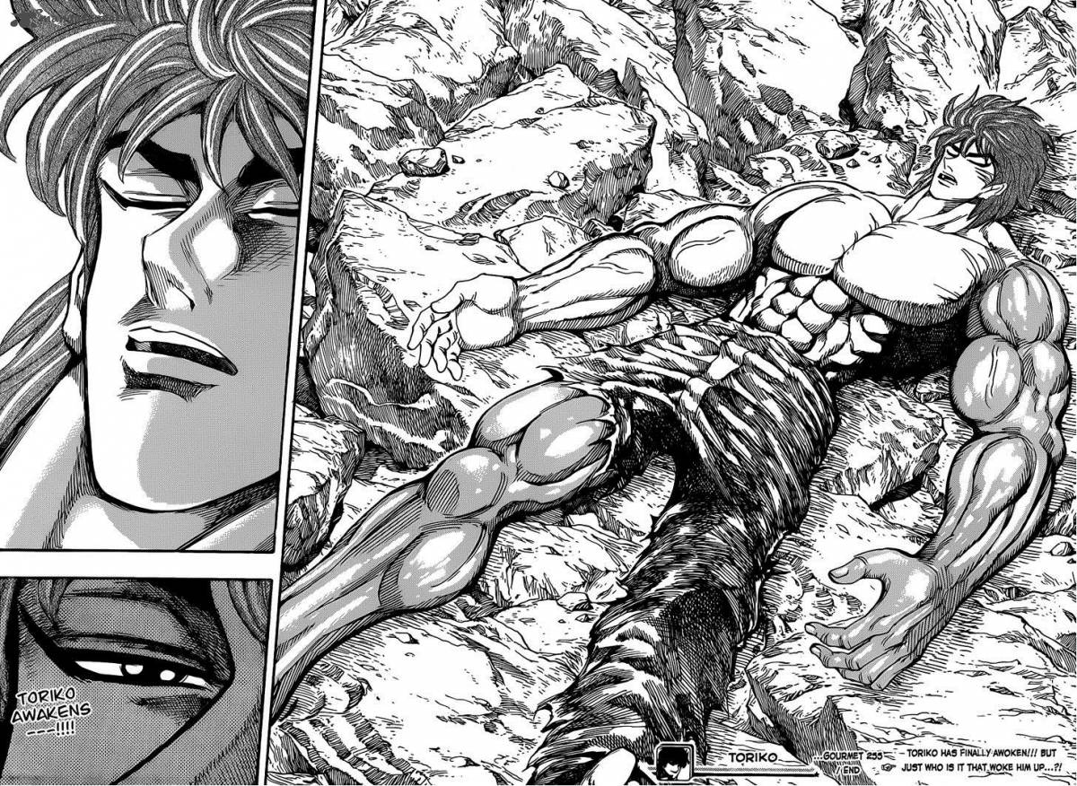 Toriko 255 17