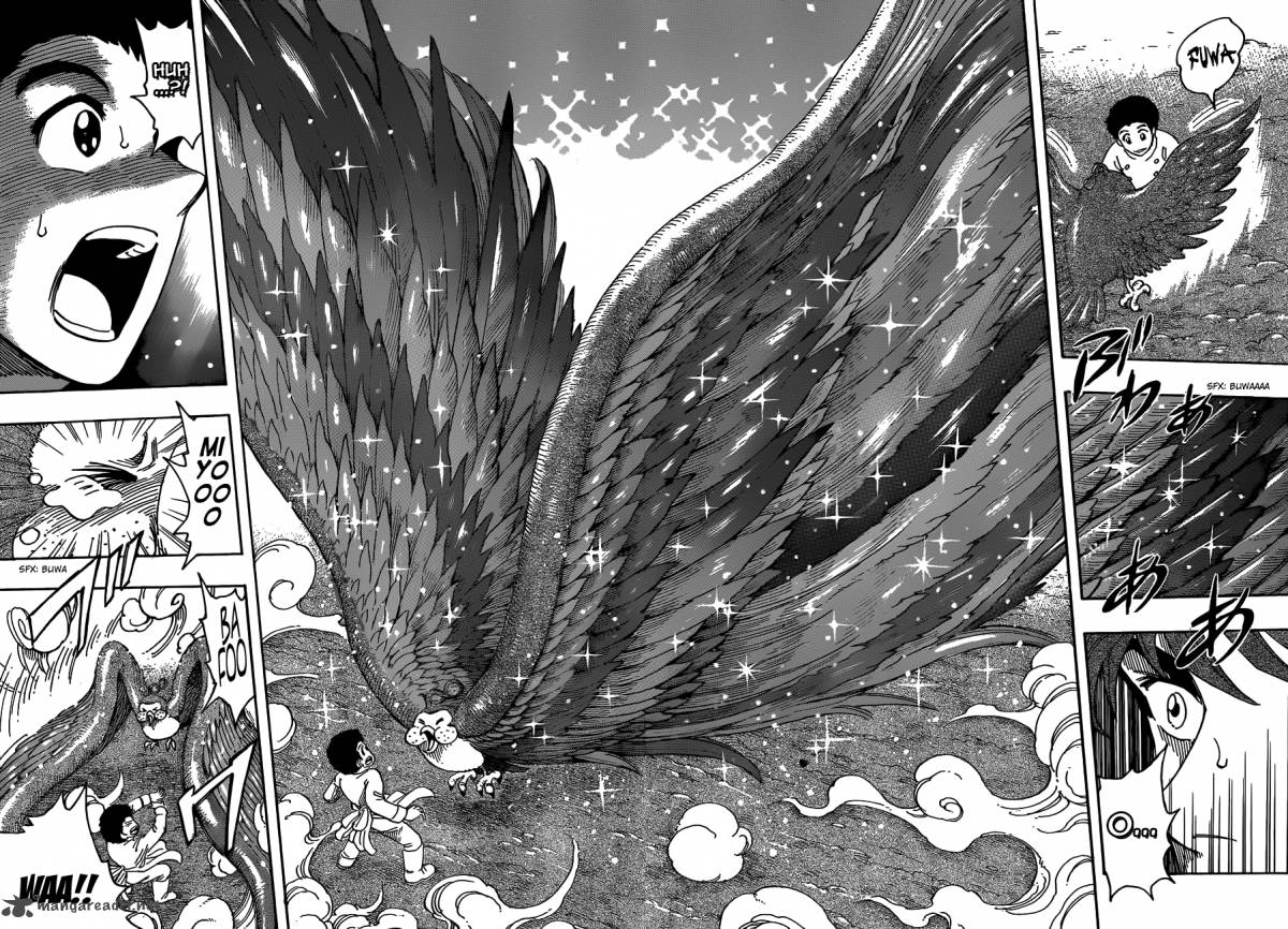 Toriko 268 8