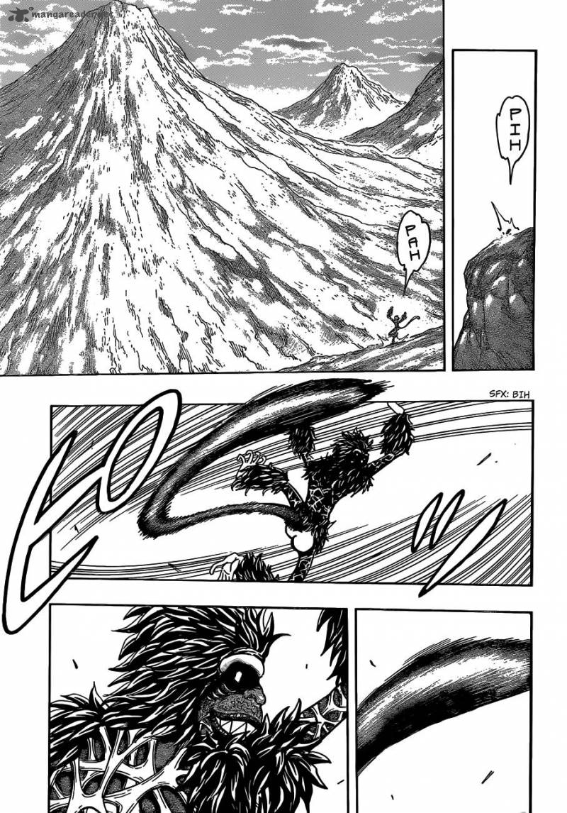 Toriko 301 5