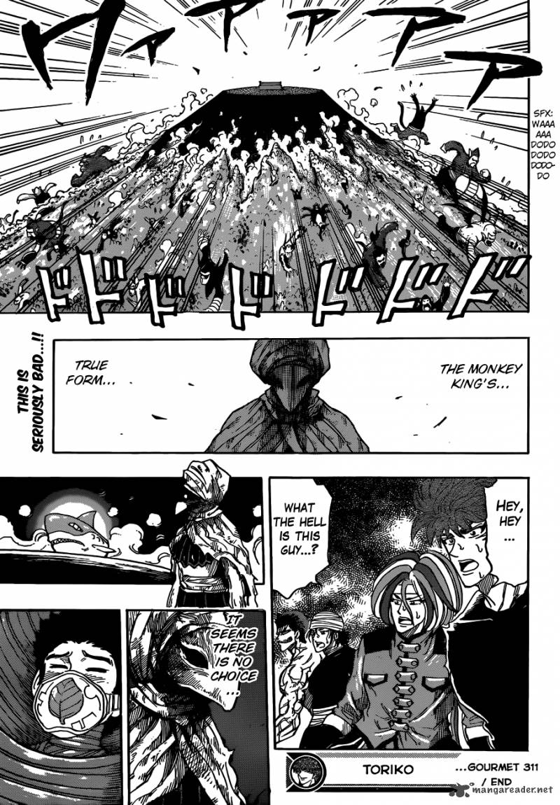 Toriko 311 18