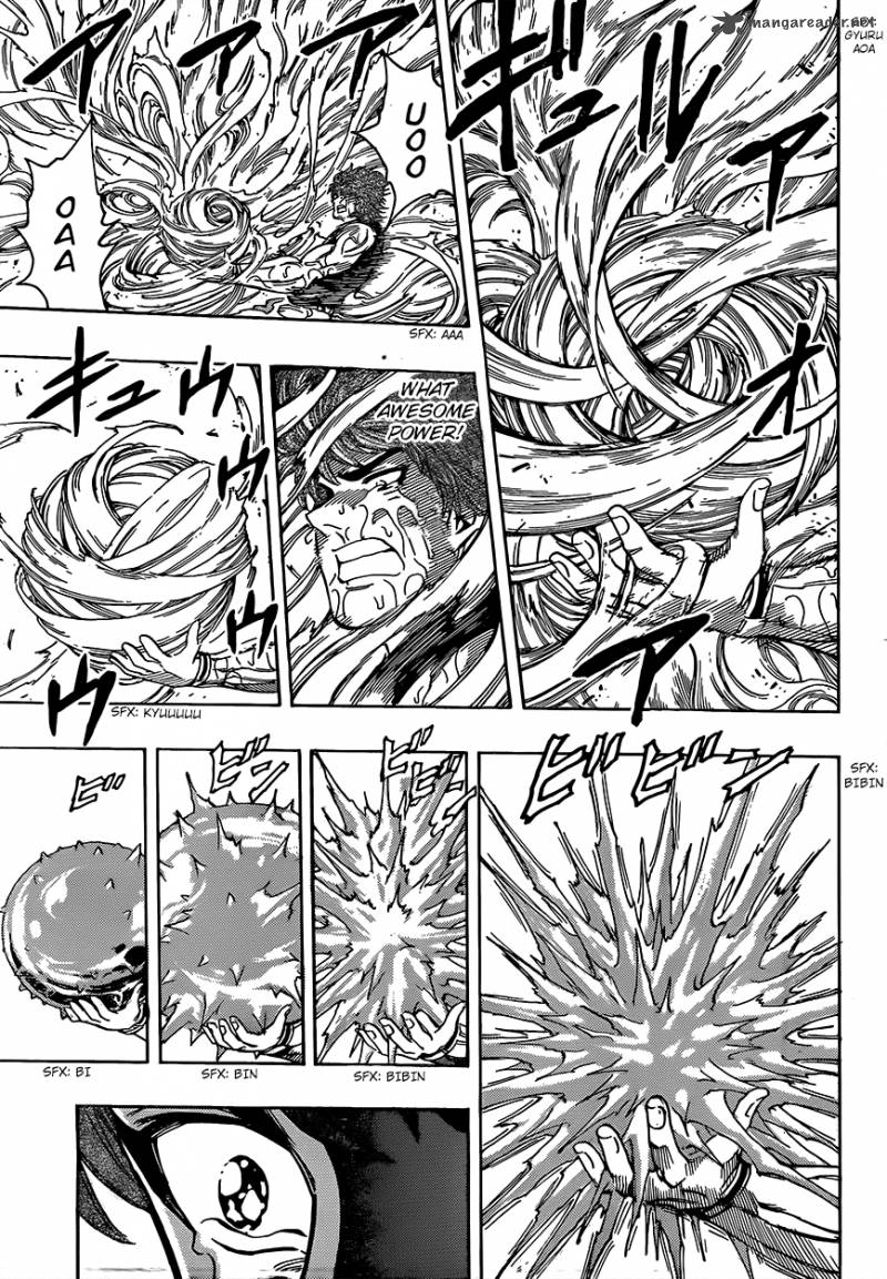 Toriko 316 9