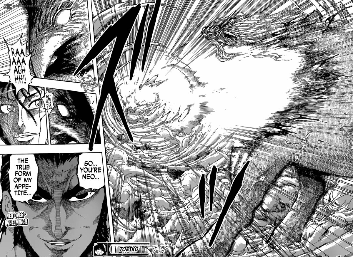 Toriko 380 17