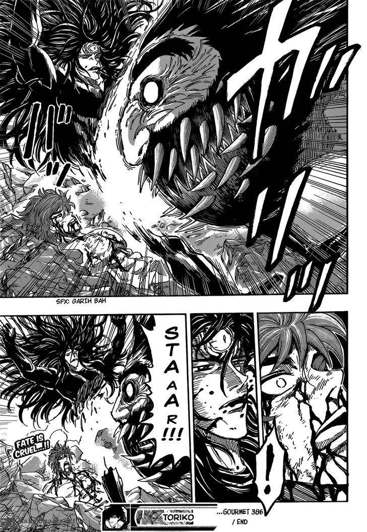 Toriko 386 19