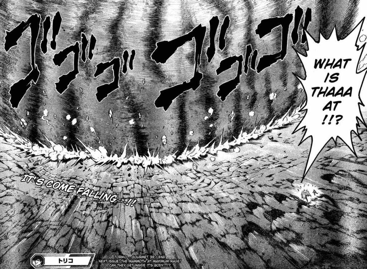 Toriko 39 17