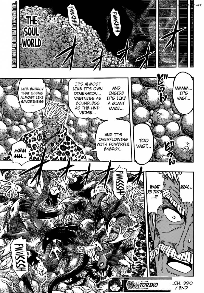 Toriko 390 19