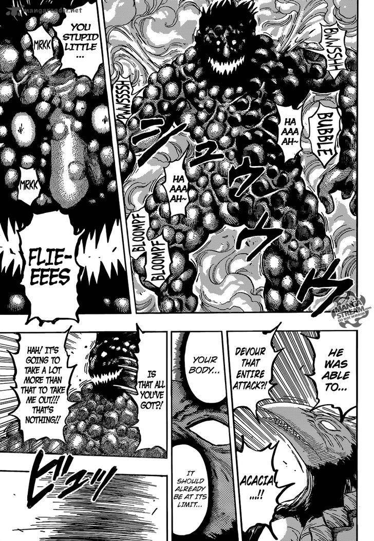 Toriko 391 14