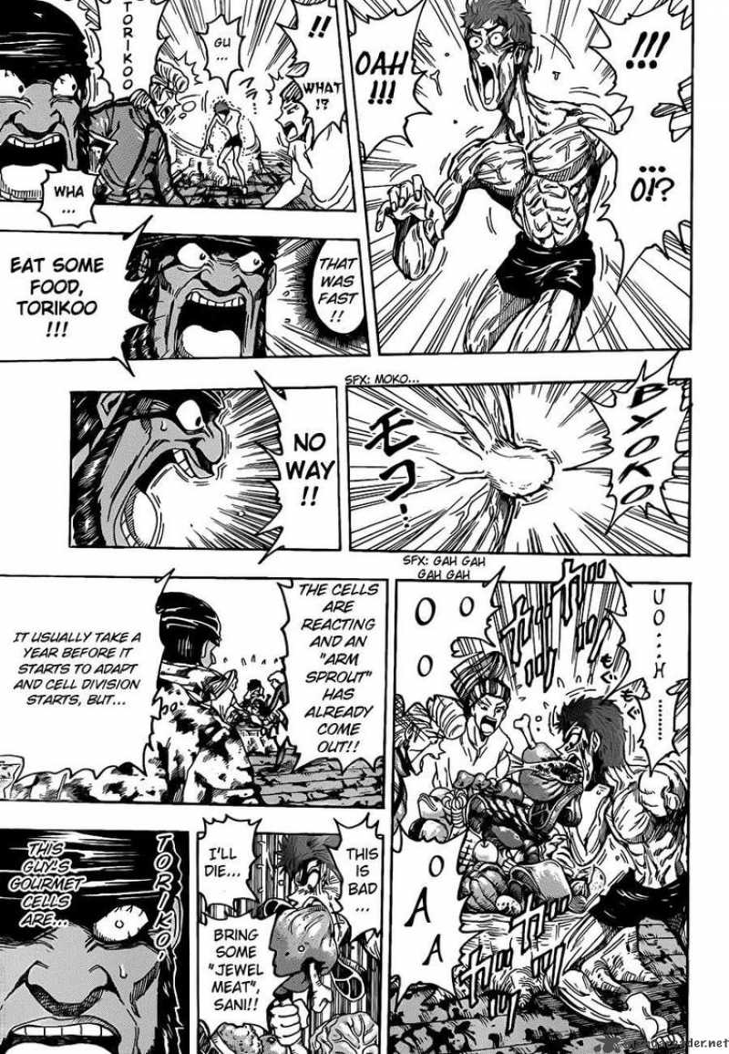 Toriko 96 13