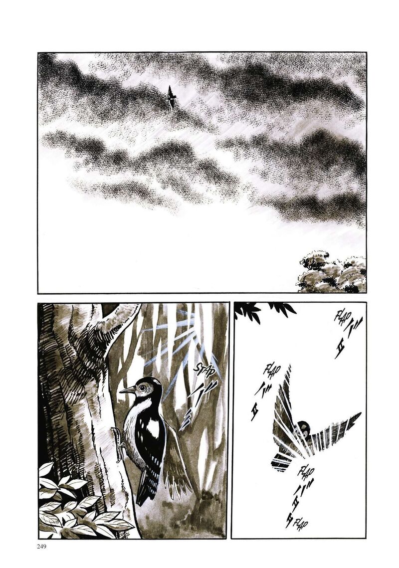 Tsugaru Sangenka Onryou Juusanya 11 6