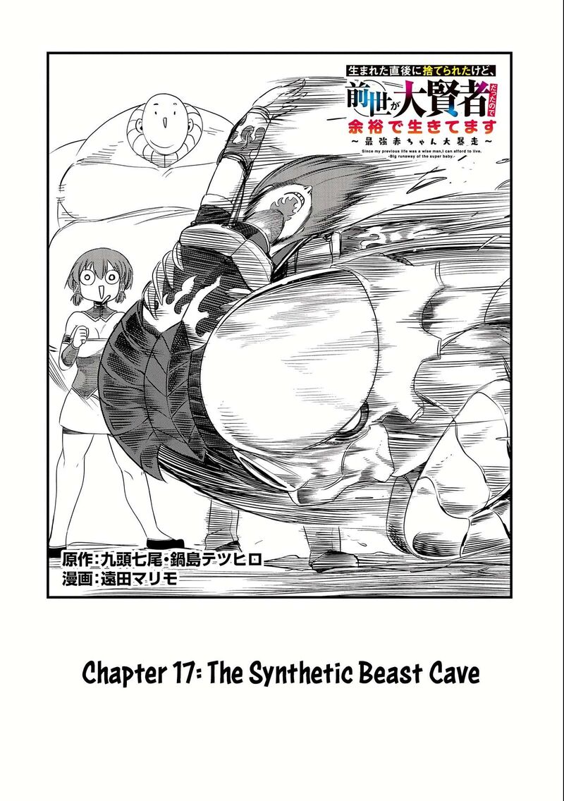 Umareta Chokugo Ni Suterareta Kedo Zensei Ga Taikensha Datta Node Yoyuu De Ikitemasu 17 4