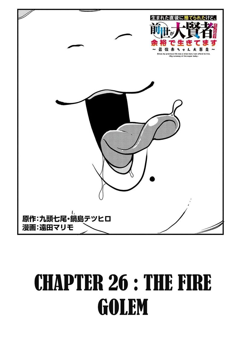 Umareta Chokugo Ni Suterareta Kedo Zensei Ga Taikensha Datta Node Yoyuu De Ikitemasu 26 3
