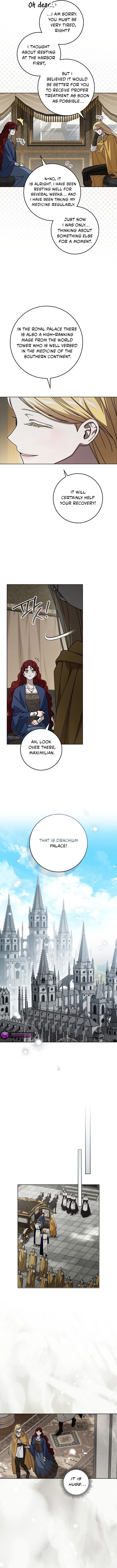 Under The Oak Tree 142 2