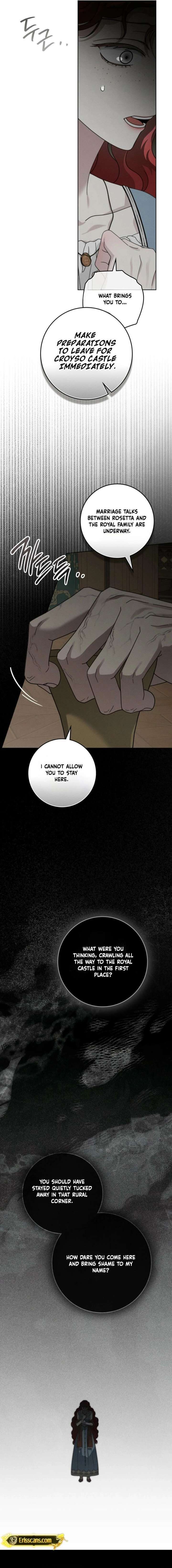 Under The Oak Tree 144 11