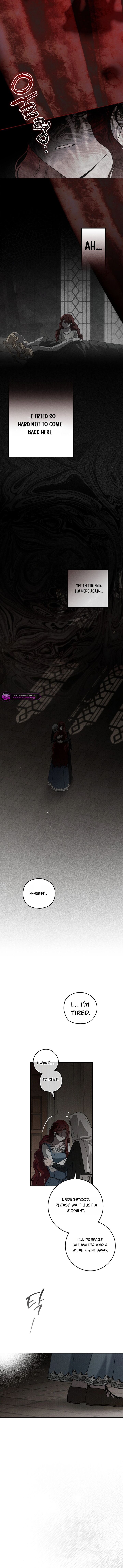 Under The Oak Tree 146 3