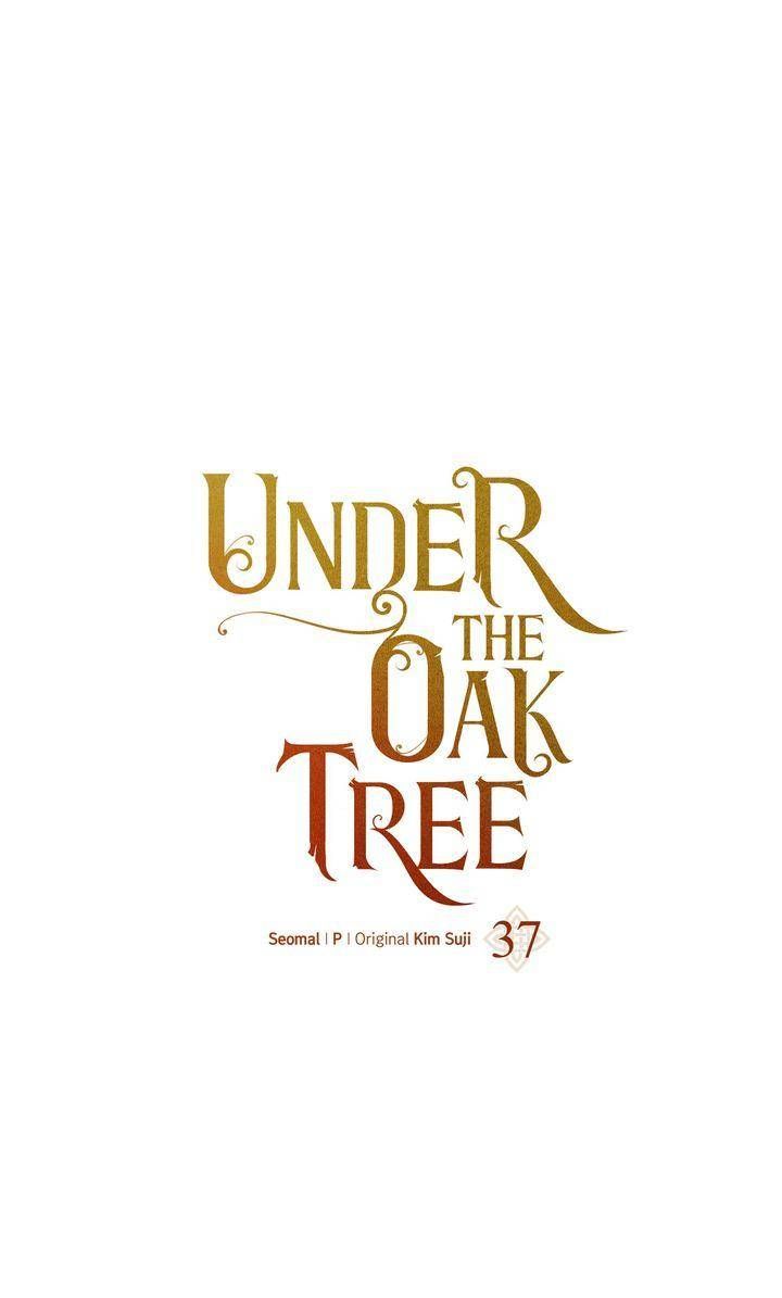 Under The Oak Tree 37 1
