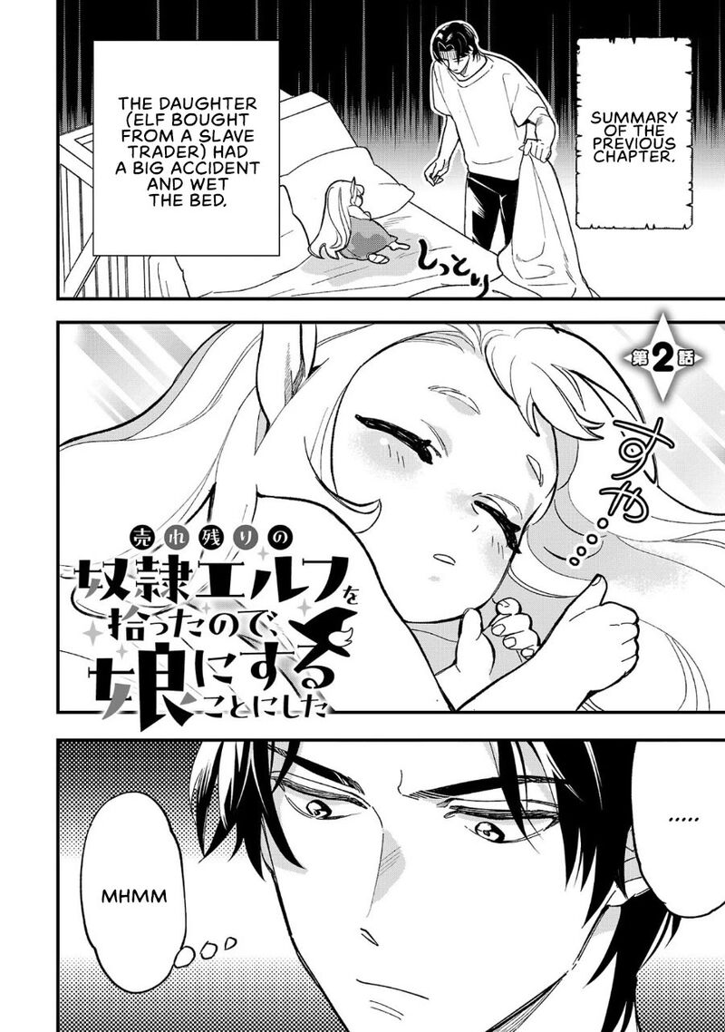 Urenokori No Dorei Elf Wo Hirotta No De Musume Ni Suru Koto Ni Shita 2 2