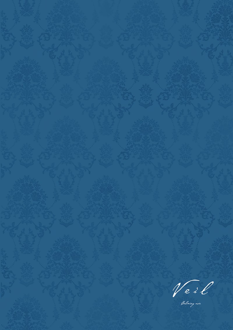 Veil 17 17