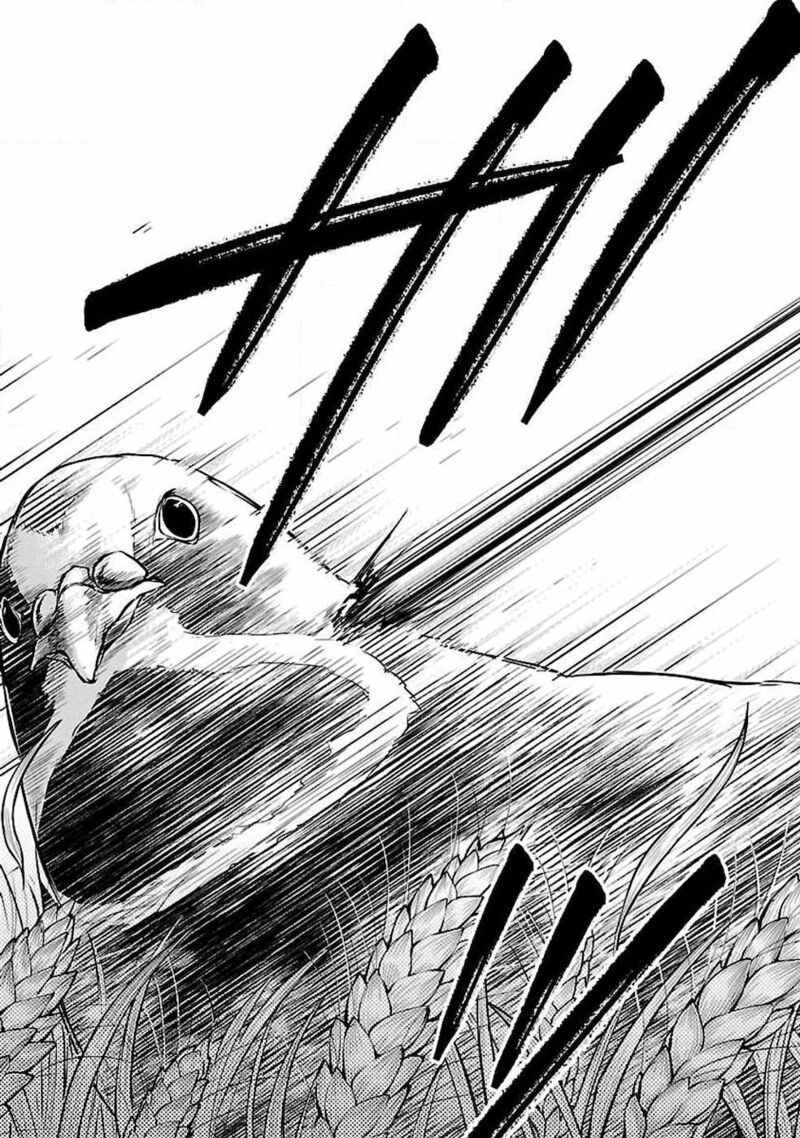 Ware Ni Cheat O Hazure Cheat No Shoukan Yuusha Wa Isekai De Yukkuri Kurashitai 3 13