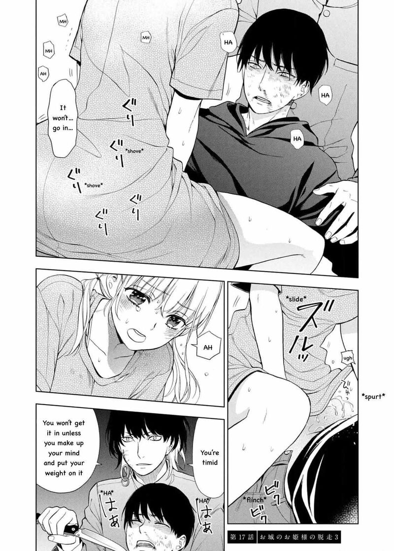 Watakushi To Kowareta Kyuuketsu Ki 17 3