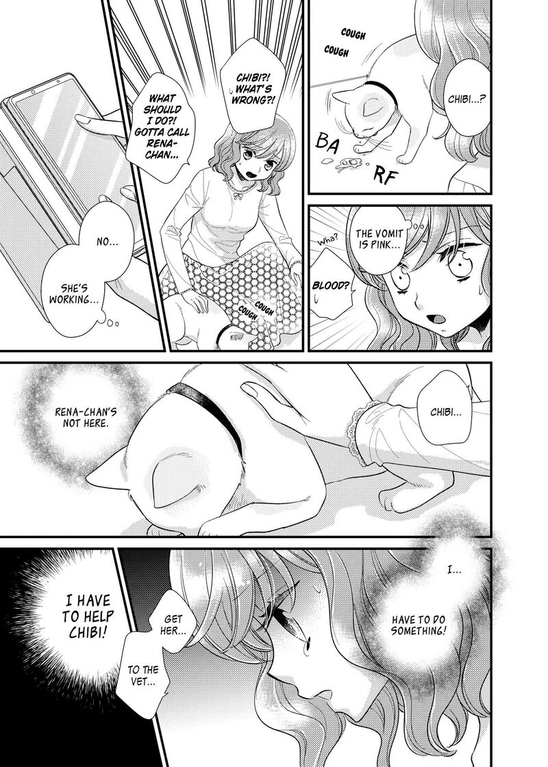 Watashi No KawaII Koneko Chan 16 8