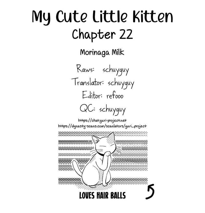 Watashi No KawaII Koneko Chan 22 18