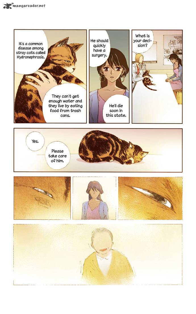 Westwood Vibrato 13 17