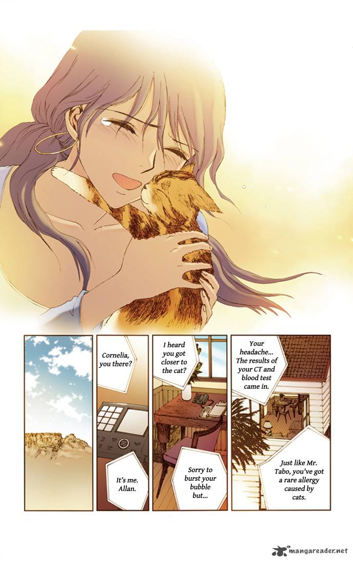 Westwood Vibrato 14 15