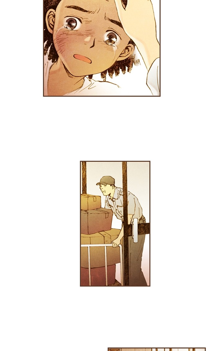 Westwood Vibrato 47 19