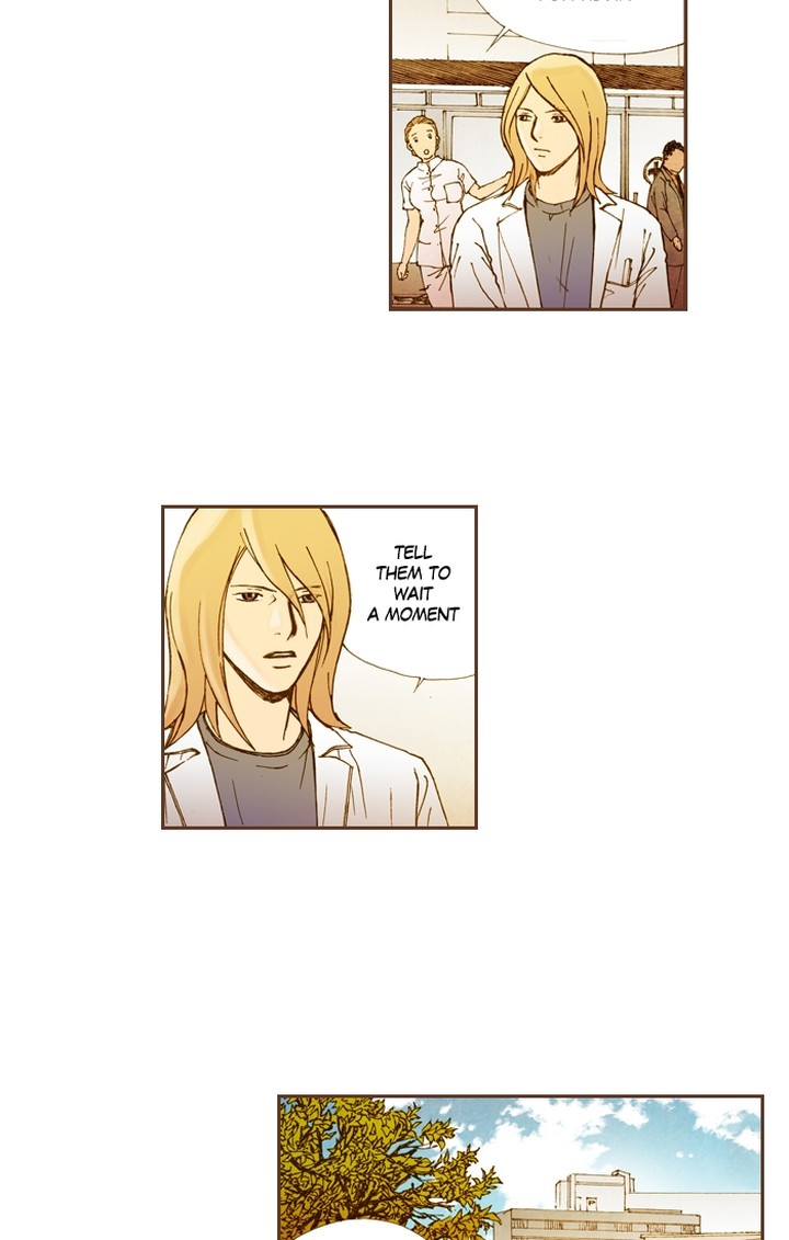 Westwood Vibrato 48 9