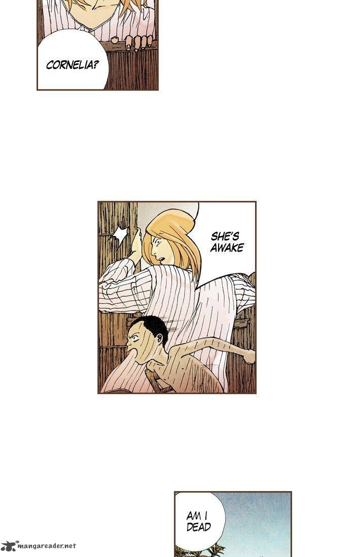 Westwood Vibrato 59 25