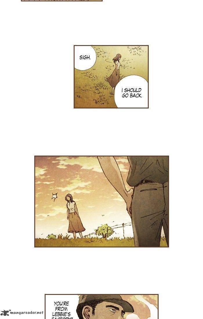 Westwood Vibrato 60 20