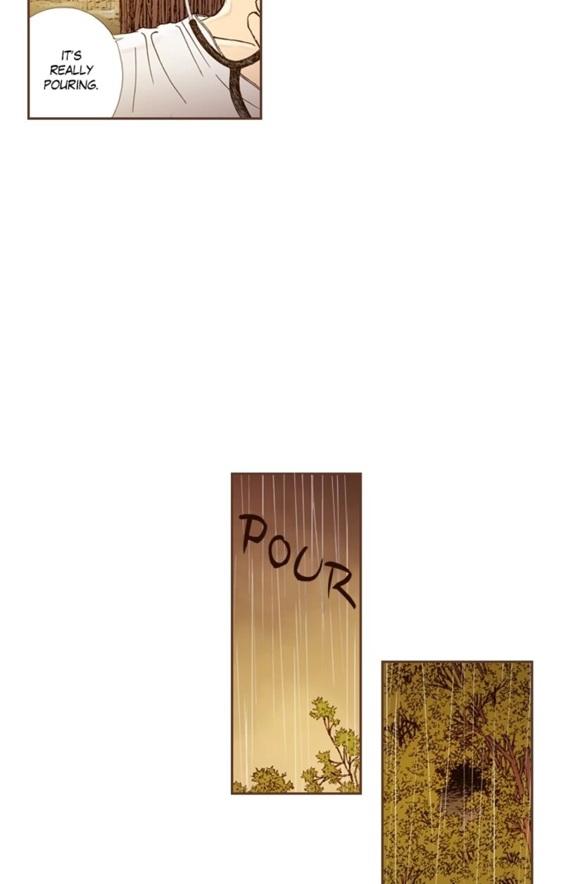 Westwood Vibrato 66 14