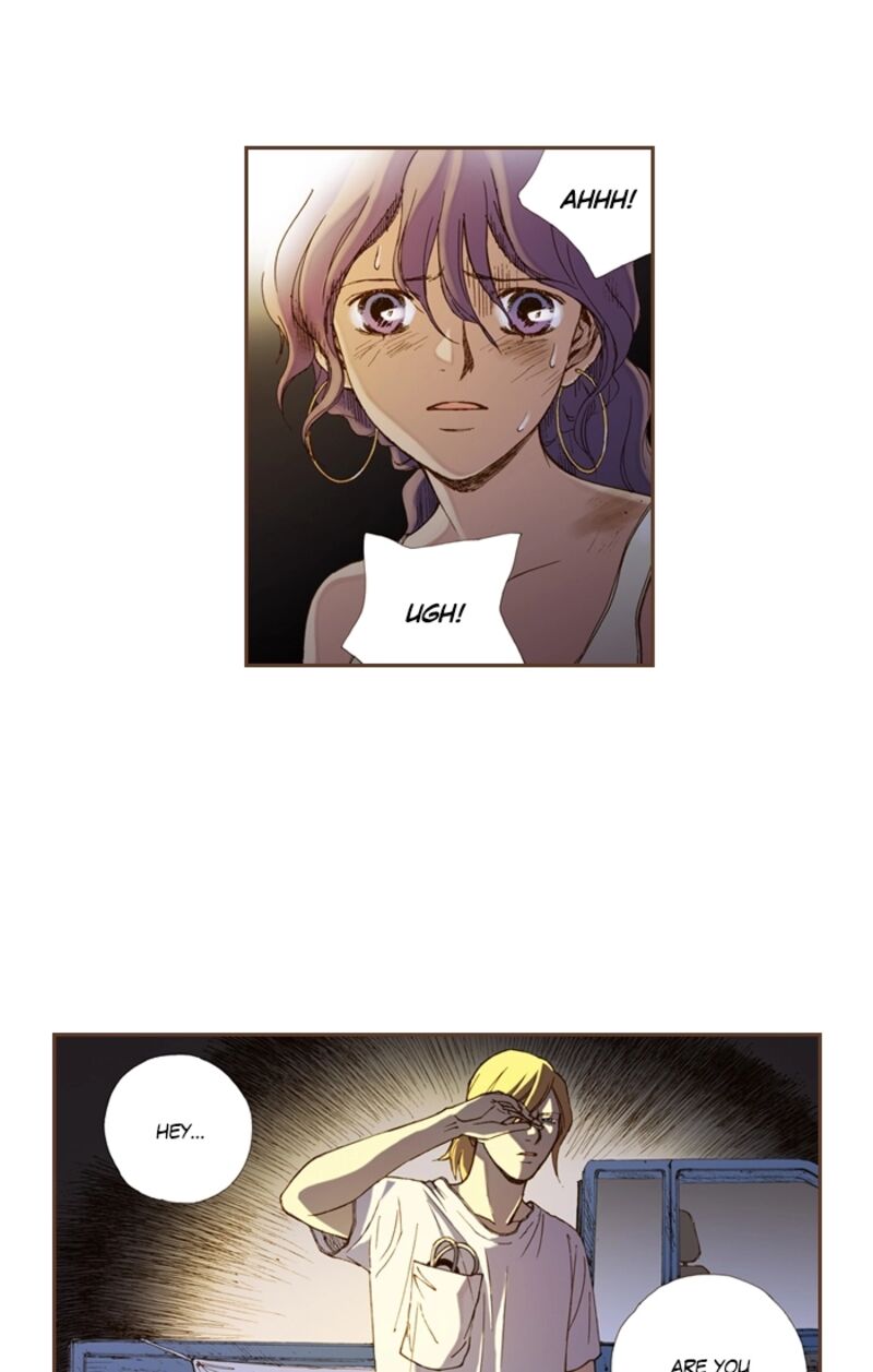 Westwood Vibrato 67 16