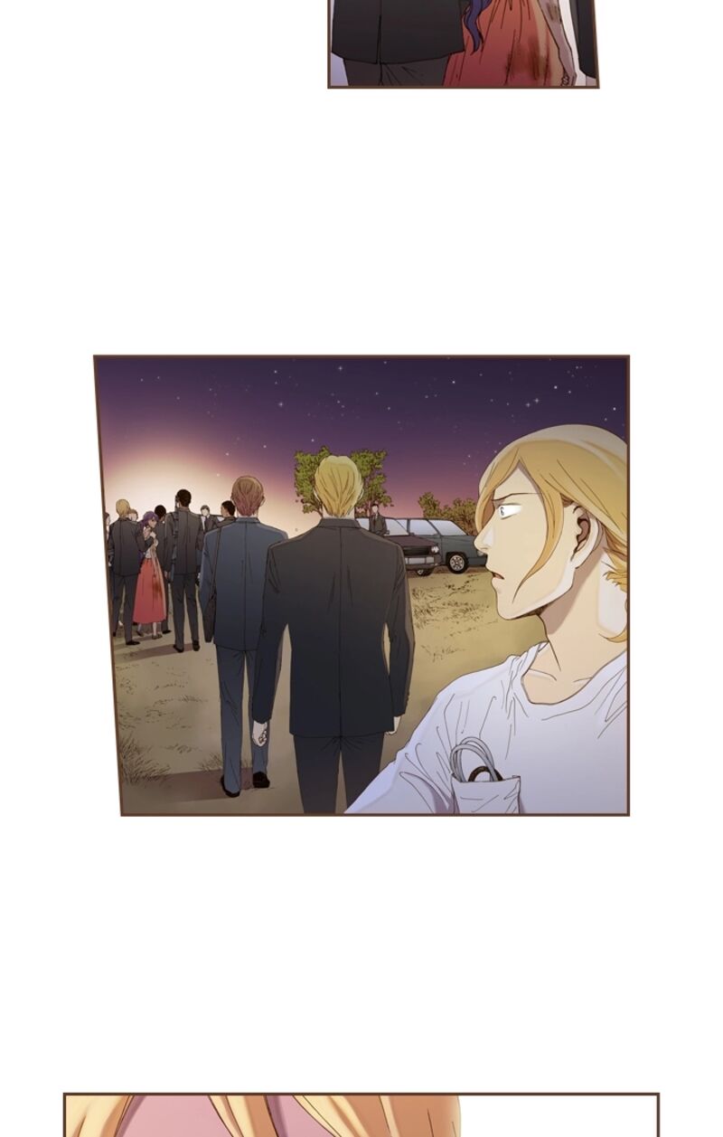 Westwood Vibrato 67 23