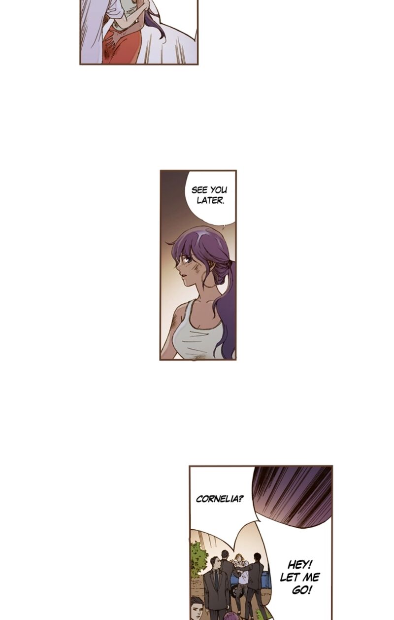 Westwood Vibrato 68 8