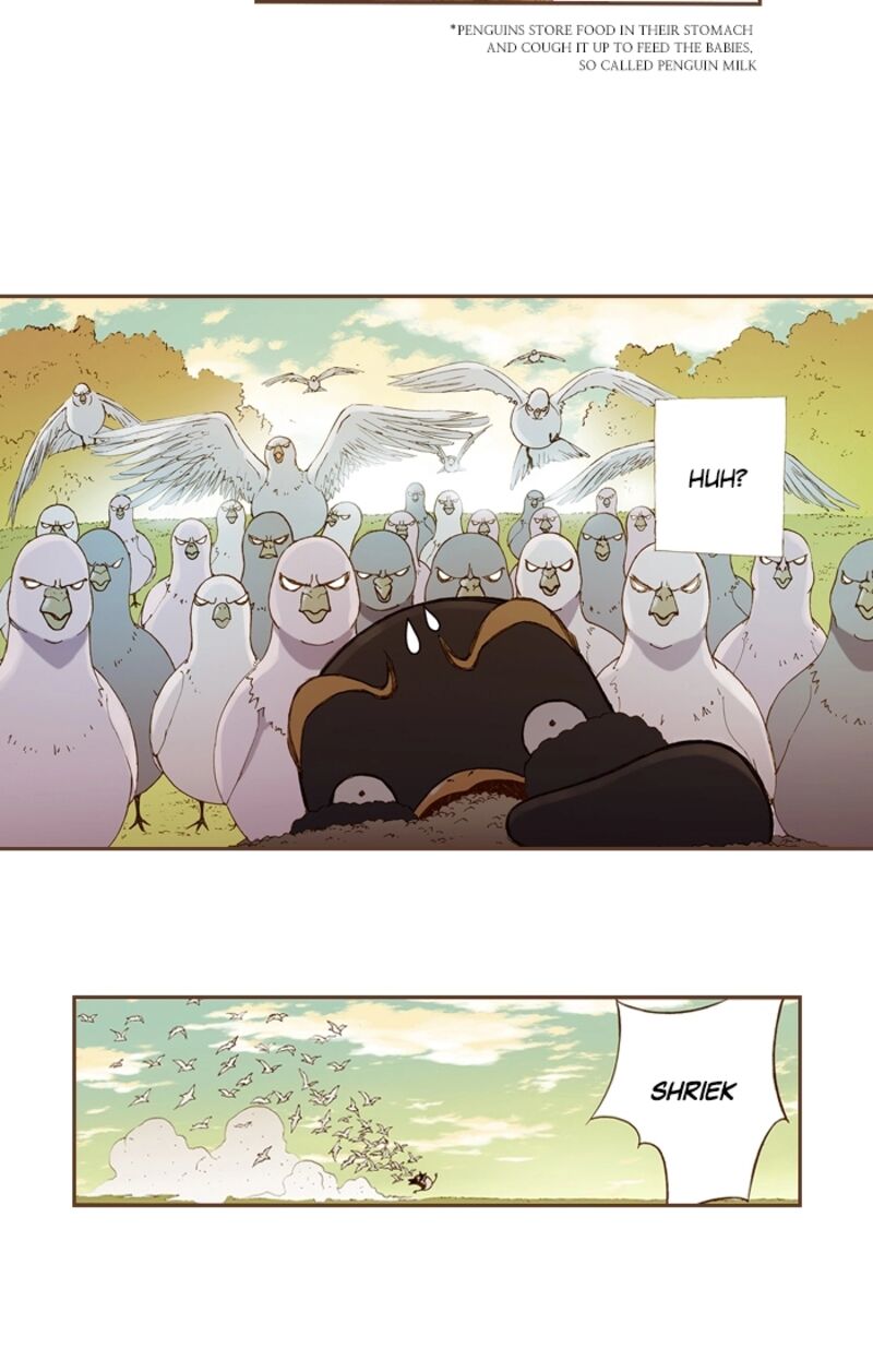 Westwood Vibrato 71 26