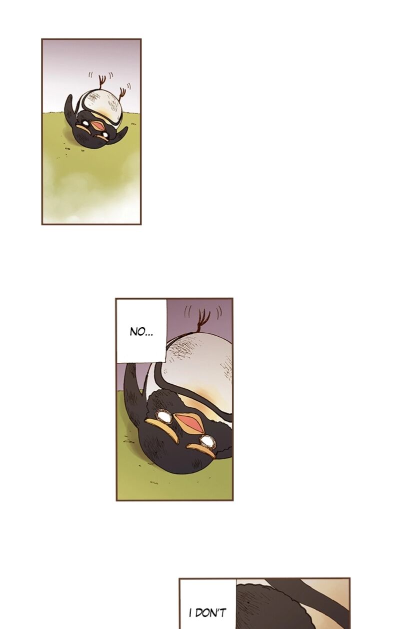 Westwood Vibrato 71 27