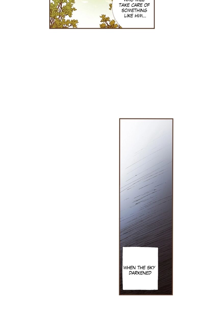 Westwood Vibrato 71 30