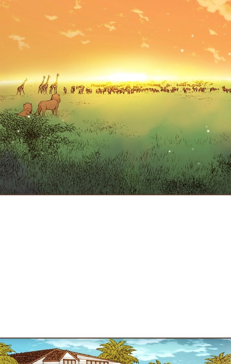 Westwood Vibrato 71 37