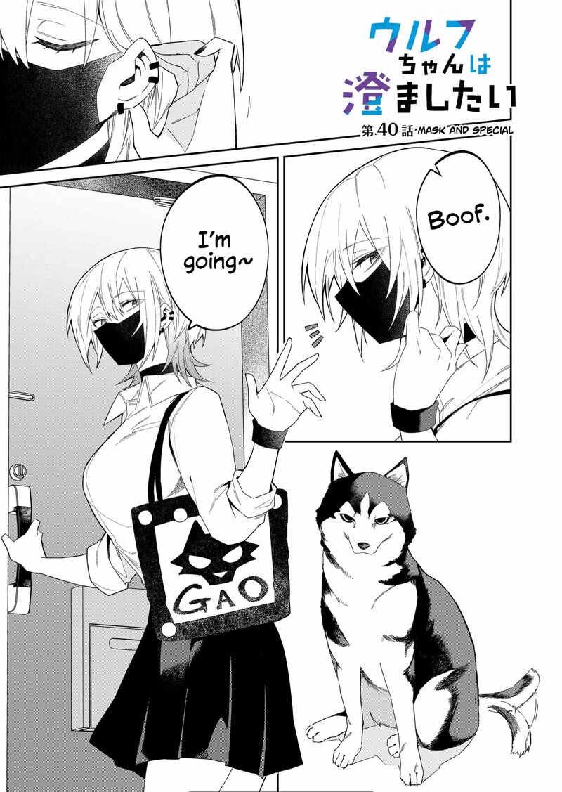 Wolf Chan Wa Sumashitai 40 1