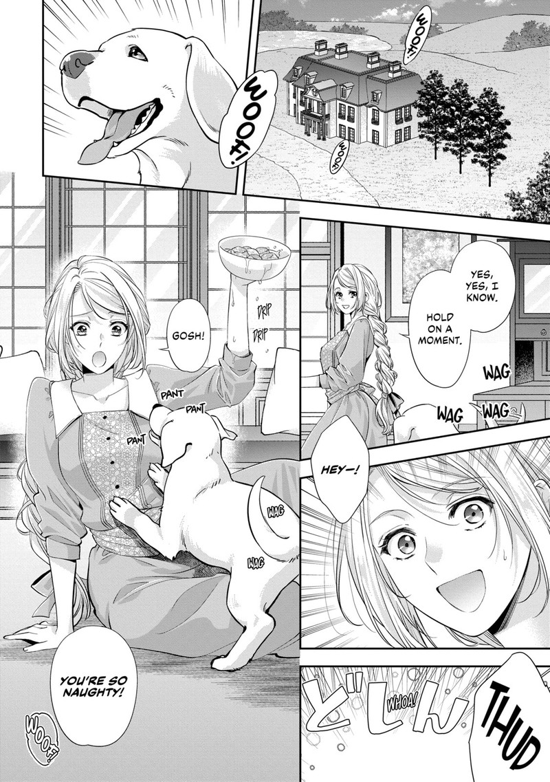 Yane Urabeya No Koushaku Fujin 20 8