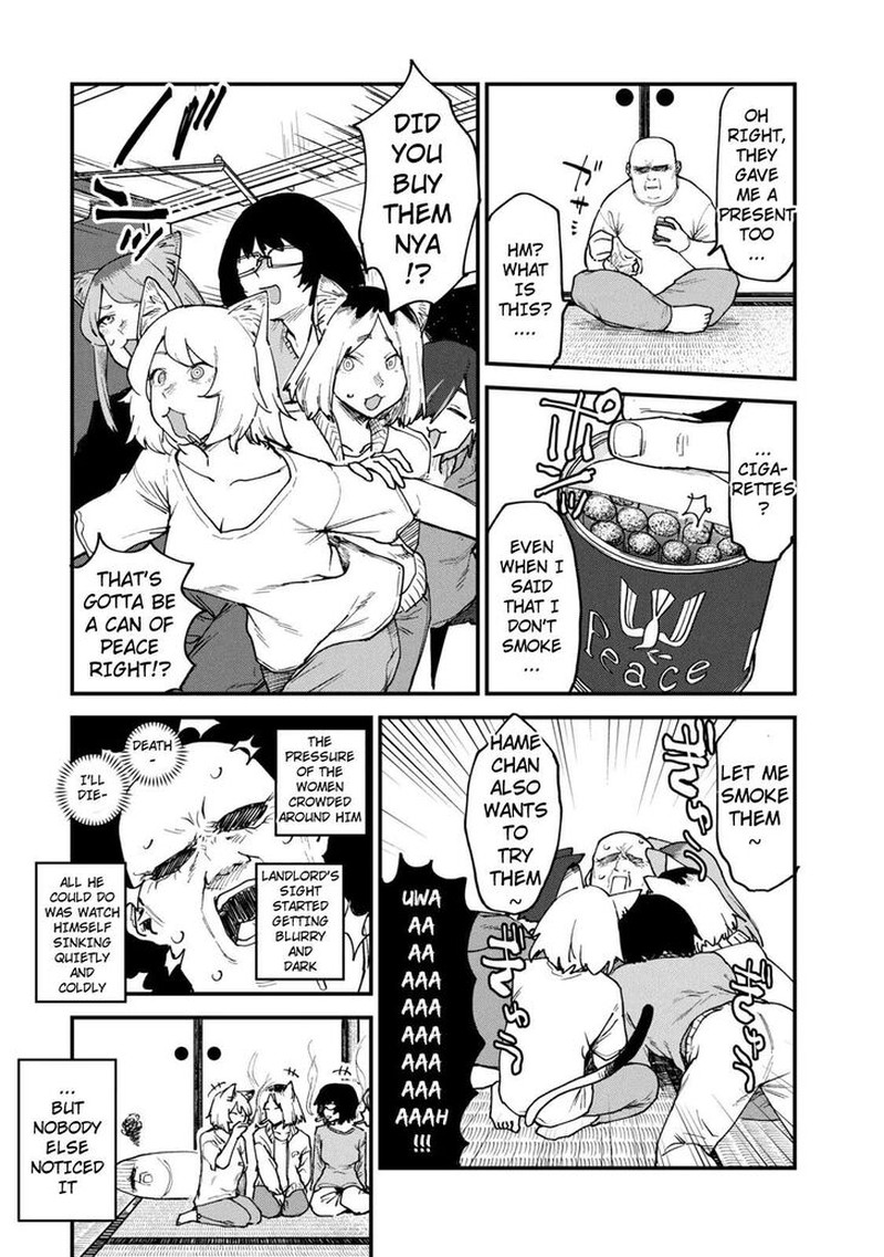 Yani Neko 101 2