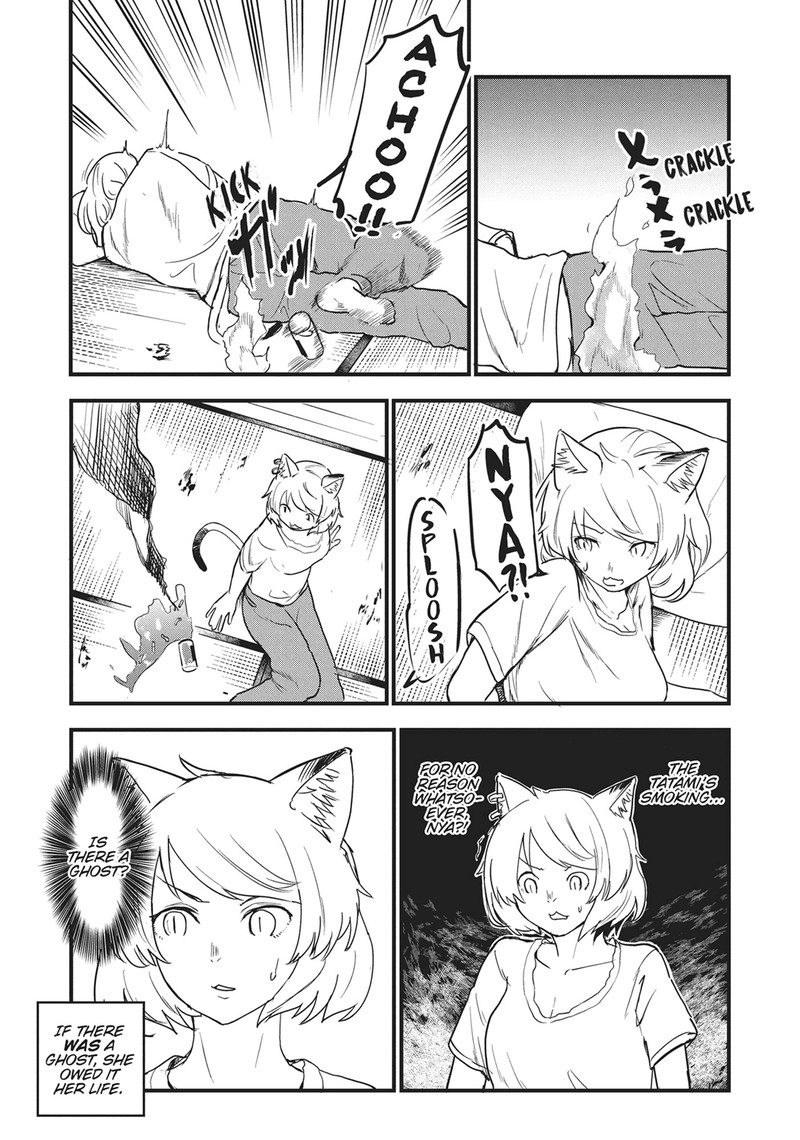 Yani Neko 11 3