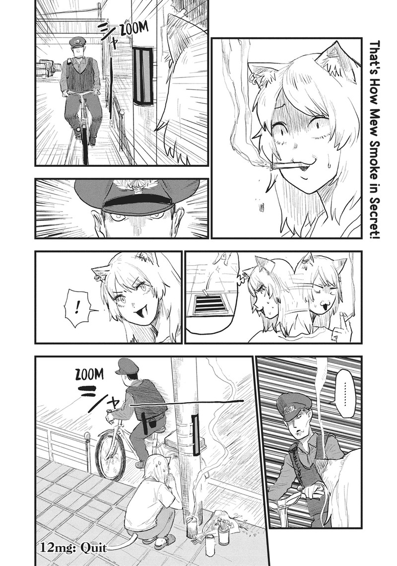 Yani Neko 12 4