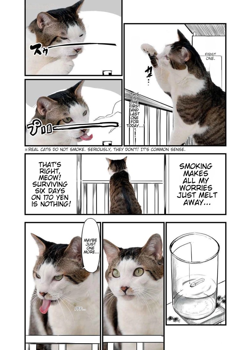 Yani Neko 141a 2