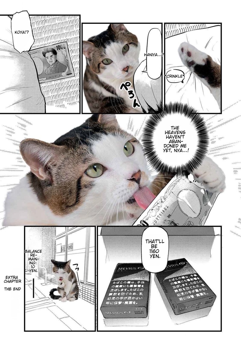 Yani Neko 141a 4