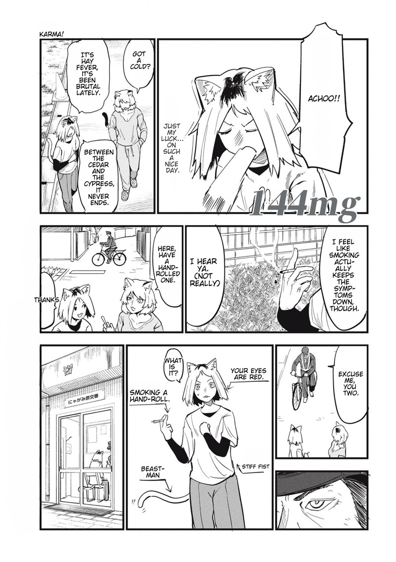Yani Neko 144 1