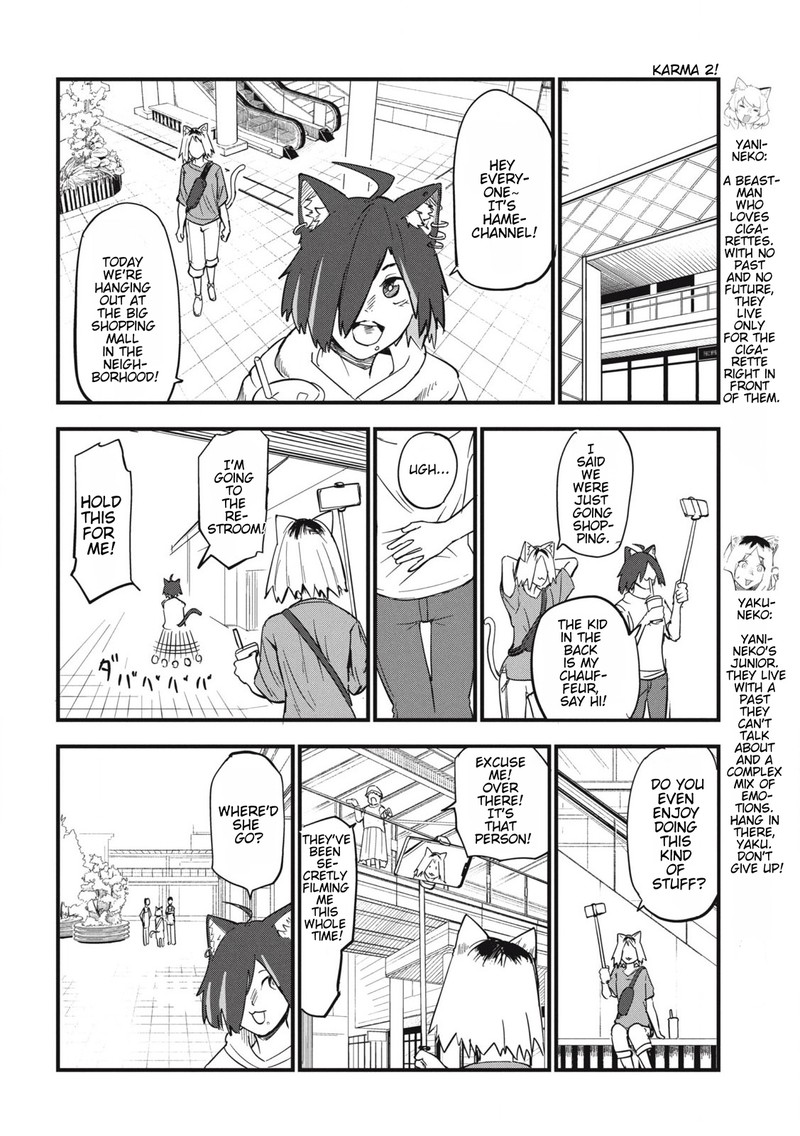 Yani Neko 144 2